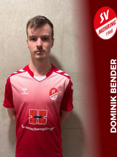 Dominik Bender
