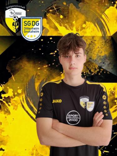 Hannes Döbler