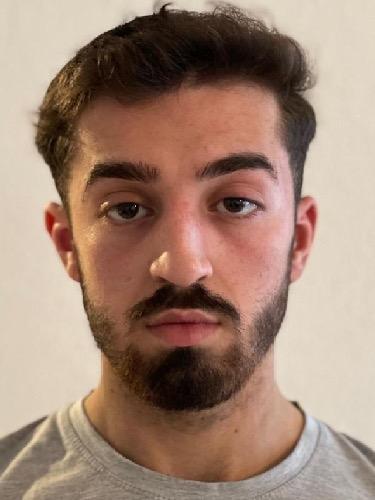 Ali Halloum