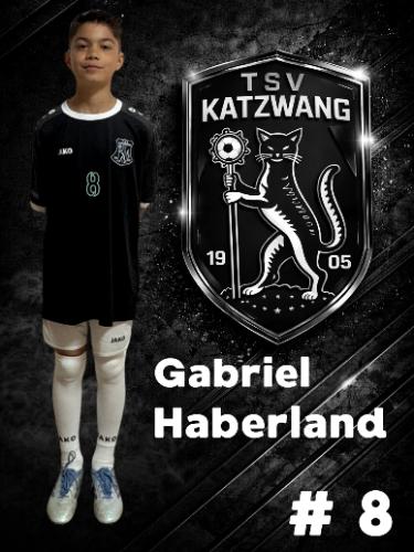 Gabriel Haberland