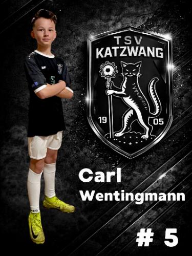 Carl Wentingmann