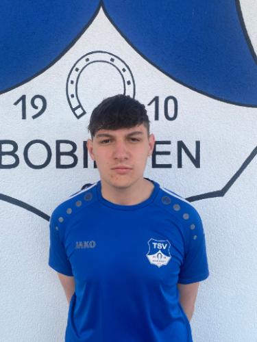 Dominik Baumgärtner