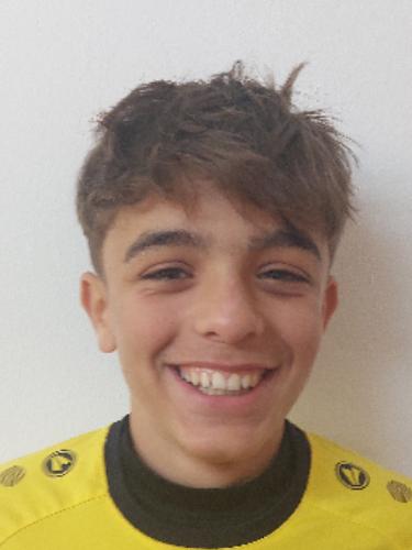 Francisco Rodrigues Henrigues