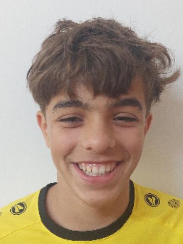 Francisco Rodrigues Henrigues