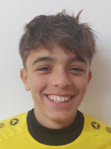 Salvador Rodrigues Henriques
