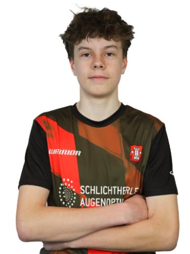 Valentin Holzmann