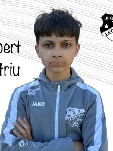 Robert Dimitriu