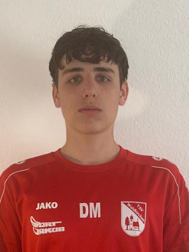Avatar Bild für Daniil Mursalian