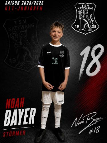 Noah Bayer