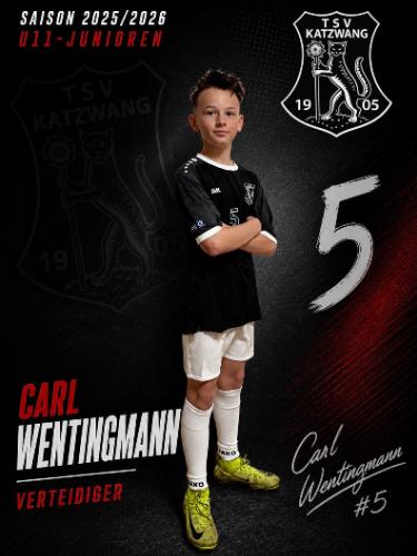 Carl Wentingmann