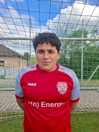 Hamza Alnemer