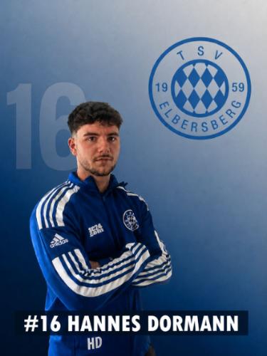 Avatar Bild für Hannes Dormann