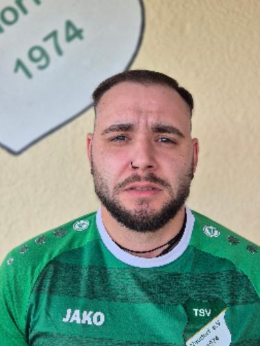 Dino Crnkovic