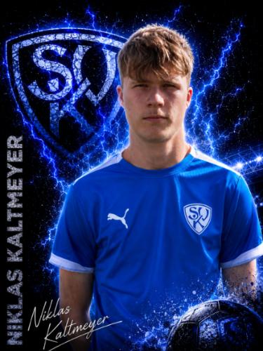 Avatar Bild für Niklas Kaltmeyer