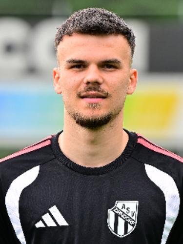 Luka Bagaric