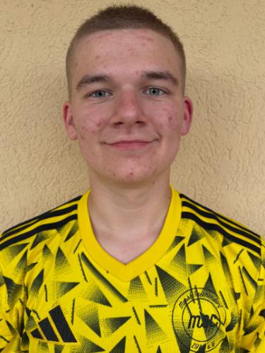 Moritz Feistauer