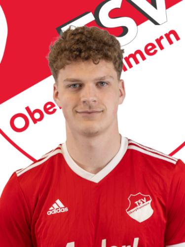 Avatar Bild für Luis Oberneder
