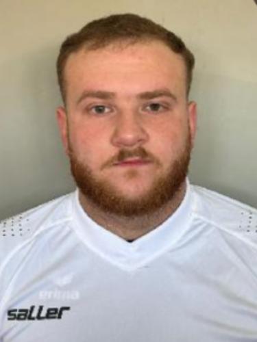 Mirko Dimitrijevic