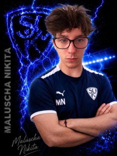 Avatar Bild für Nikita Maluscha