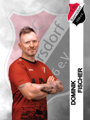 Dominik Fischer