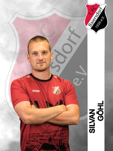 Avatar Bild für Silvan Goehl