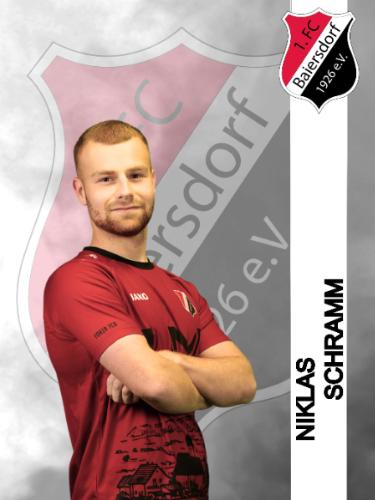 Avatar Bild für Niklas Schramm
