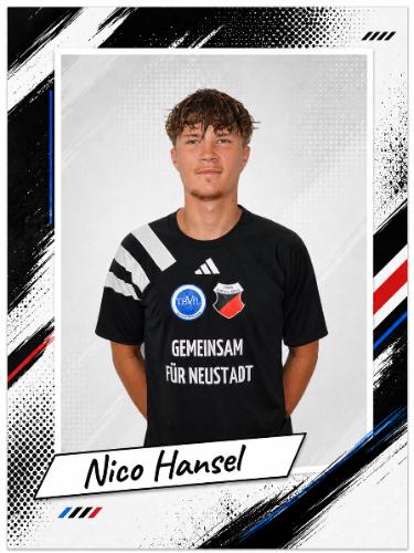 Nico Hansel