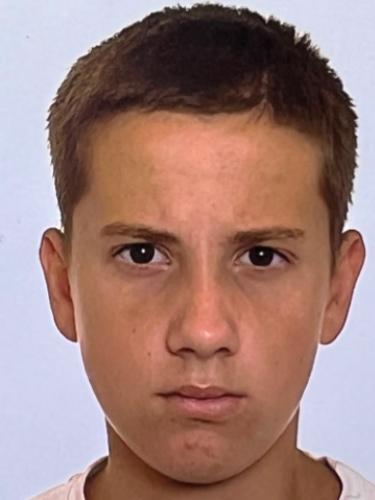 Din Cerimovic