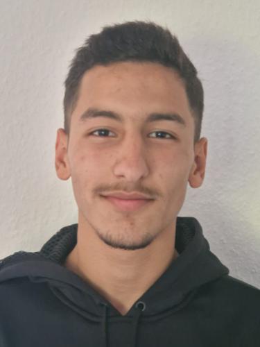 Hadi Sadaki