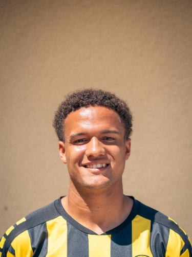 Micah Ham