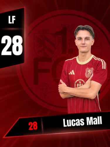 Avatar Bild für Lucas Mall