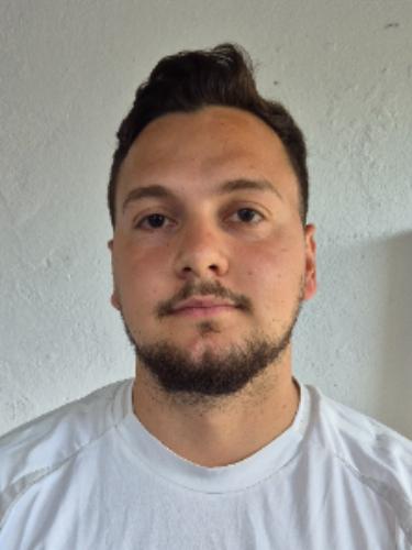 Milan Vuletic