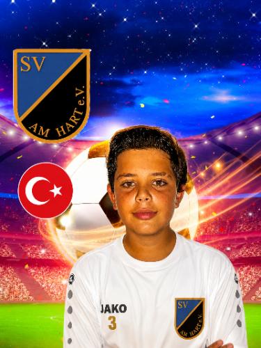Kuzey Demir