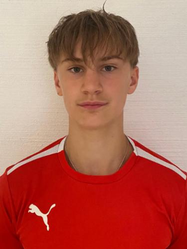 Hannes Sperl