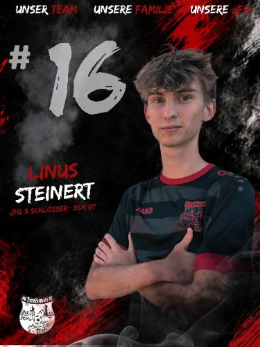 Avatar Bild für Linus Steinert