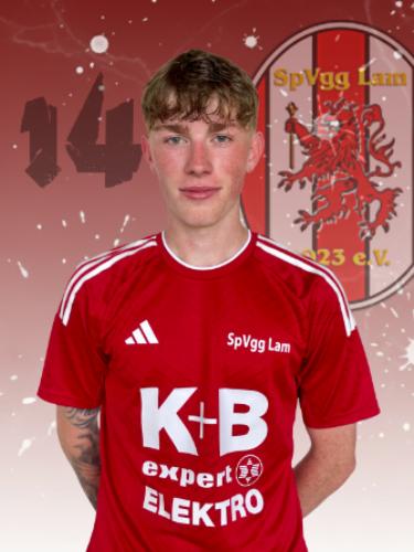Avatar Bild für Niklas Maimer