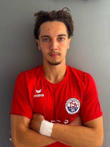 Moritz Niedworok