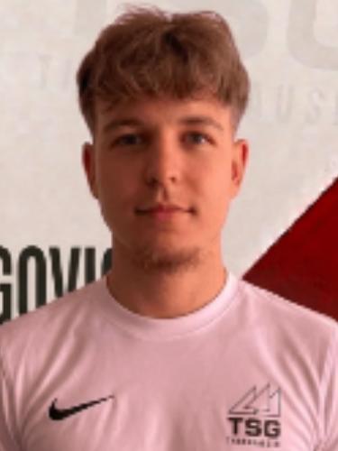 Edin Hamzabegovic