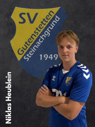 Avatar Bild für Niklas Heublein