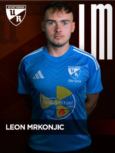Avatar Bild für Leon Mrkonjic