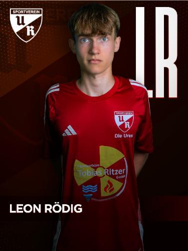 Avatar Bild für Leon Rödig