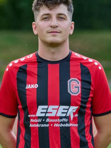 Avatar Bild für Ljubomir Marijanovic