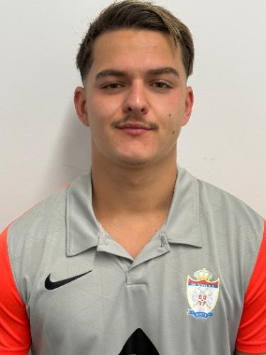 David Mitrovic