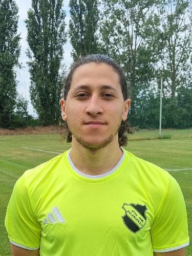 Mohamed Elmoghazi