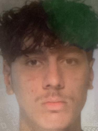 Elvin Velagic