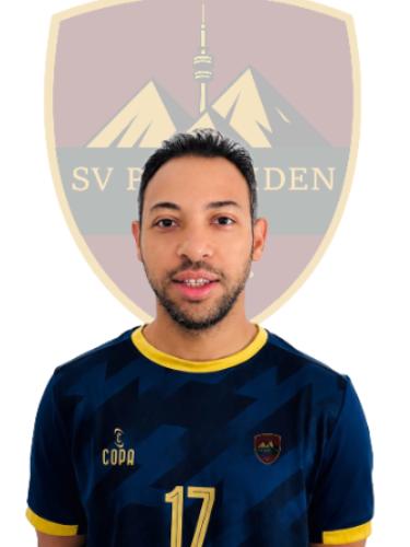 Mohamed Abdelmawgoud