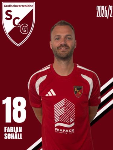 Avatar Bild für Fabian Schäll
