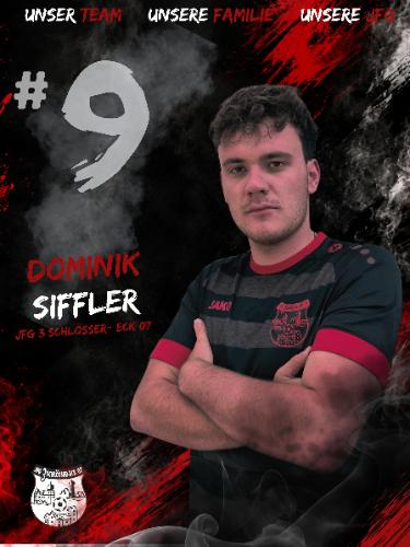 Avatar Bild für Dominik Siffler