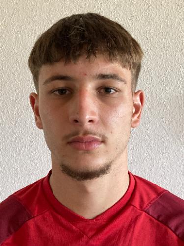 Aldin Muharemovic