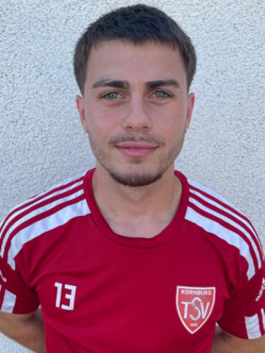 Arnes Faljic